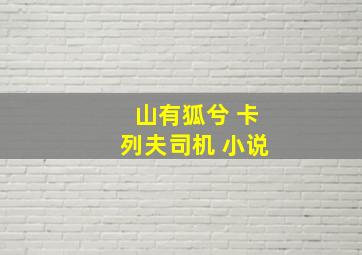 山有狐兮 卡列夫司机 小说